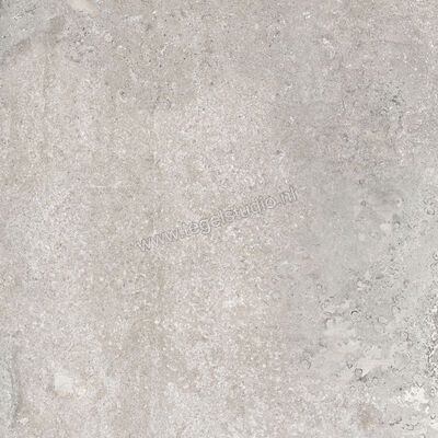  Ascot Ceramiche Signature Stone Grey 90x90x2 cm Terrastegel Mat Vlak Naturale 02DSS9944OR | 425090