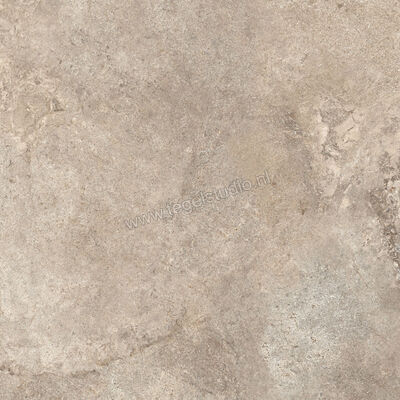  Ascot Ceramiche Stone Valley Sabbia 60x60 cm Vloertegel / Wandtegel Mat Vlak Naturale 02SV620RS | 425327