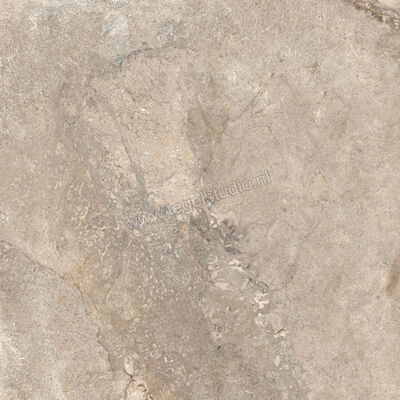  Ascot Ceramiche Stone Valley Sabbia 60x60 cm Vloertegel / Wandtegel Mat Vlak Naturale 02SV620RS | 425330