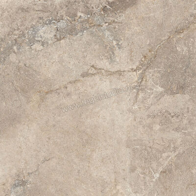  Ascot Ceramiche Stone Valley Sabbia 60x60 cm Vloertegel / Wandtegel Mat Vlak Naturale 02SV620RS | 425333