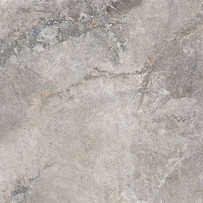  Ascot Ceramiche Stone Valley Cenere 90x90 cm Vloertegel / Wandtegel Mat Vlak Naturale 02SV9940RS | 425615