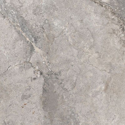  Ascot Ceramiche Stone Valley Cenere 90x90 cm Vloertegel / Wandtegel Mat Vlak Naturale 02SV9940RS | 425618