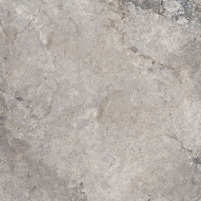  Ascot Ceramiche Stone Valley Cenere 90x90 cm Vloertegel / Wandtegel Mat Vlak Naturale 02SV9940RS | 425621