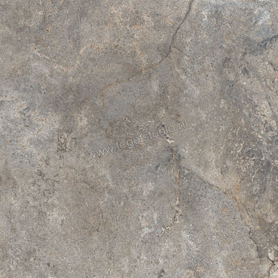  Ascot Ceramiche Stone Valley Terra 90x90 cm Vloertegel / Wandtegel Mat Vlak Naturale 02SV9960RS | 425645