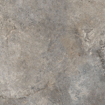  Ascot Ceramiche Stone Valley Terra 90x90 cm Vloertegel / Wandtegel Mat Vlak Naturale 02SV9960RS | 425648