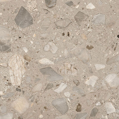  Fioranese I Ciottoli Sassi Grigio 30.2x30.2 cm Vloertegel / Wandtegel Glanzend Gestructureerd Lappato LMS303L | 426506