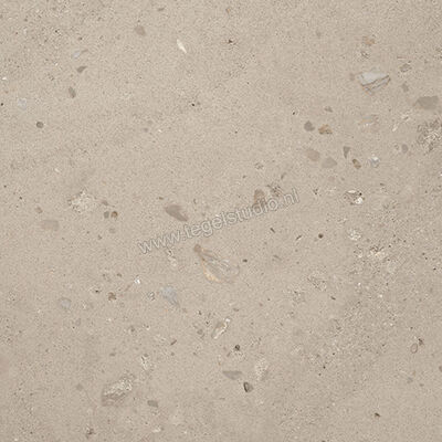  Fioranese I Ciottoli Sabbia Grigio 60.4x60.4 cm Vloertegel / Wandtegel Mat Gestructureerd Naturale 0LM603R | 426521