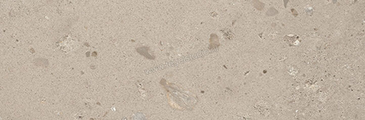  Fioranese I Ciottoli Sabbia Grigio 10x30.2 cm Vloertegel / Wandtegel Glanzend Gestructureerd Lappato LM133LR | 426536