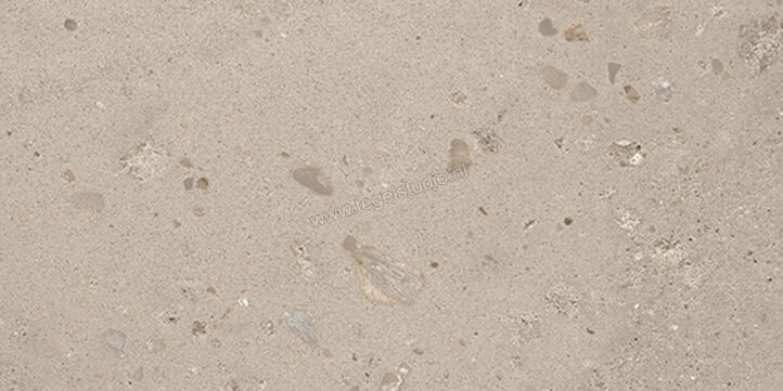  Fioranese I Ciottoli Sabbia Grigio 60.4x120.8 cm Vloertegel / Wandtegel Mat Gestructureerd Naturale 0LM623R | 426551
