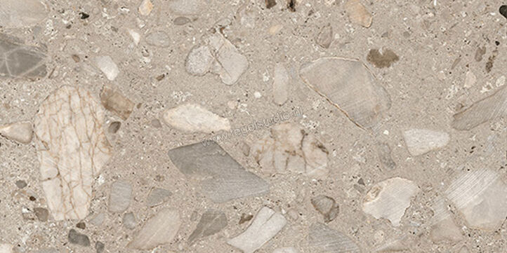  Fioranese I Ciottoli Sassi Grigio 60.4x120.8 cm Vloertegel / Wandtegel Mat Gestructureerd Naturale LMS623R | 426764
