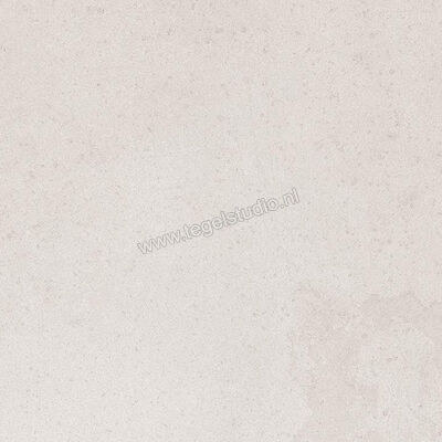  Ergon Ceramiche Tr3nd White 60x60 cm Vloertegel / Wandtegel Mat Vlak Naturale E41D | 427718