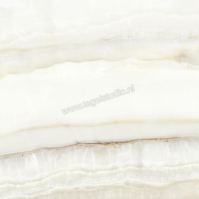  La Fabbrica Ava Aesthetica Hegel Hegel 120x120 cm Vloertegel / Wandtegel Glanzend Vlak Lappato 079031 | 434924