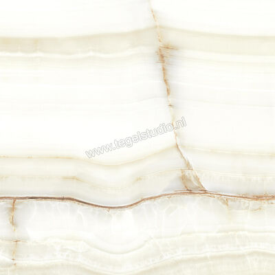  La Fabbrica Ava Aesthetica Hegel Hegel 120x120 cm Vloertegel / Wandtegel Glanzend Vlak Lappato 079031 | 434927