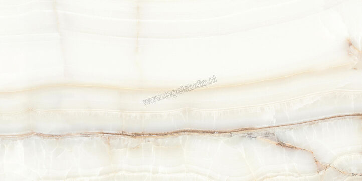  La Fabbrica Ava Aesthetica Hegel Hegel 60x120 cm Vloertegel / Wandtegel Glanzend Vlak Lappato 079061 | 434951