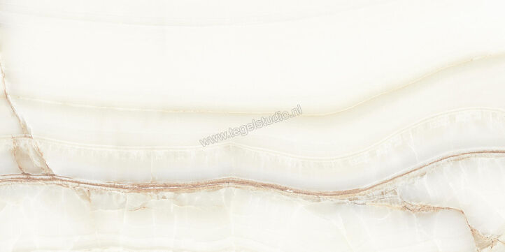  La Fabbrica Ava Aesthetica Hegel Hegel 60x120 cm Vloertegel / Wandtegel Glanzend Vlak Lappato 079061 | 434954