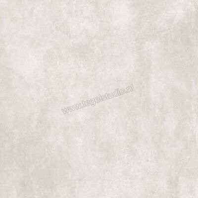  La Fabbrica Ava Skyline Ghiaccio 60x60 cm Vloertegel / Wandtegel Mat Vlak Natural 82141 | 435089