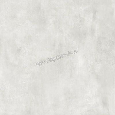  La Fabbrica Ava Skyline Ghiaccio 120x120 cm Vloertegel / Wandtegel Mat Vlak Naturale 082061 | 435092