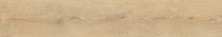  La Fabbrica Ava Ca' Foscari Avana 20x120 cm Vloertegel / Wandtegel Mat Vlak Naturale 094010 | 436838