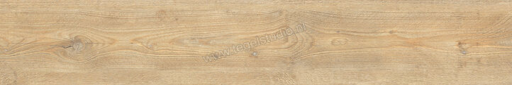  La Fabbrica Ava Ca' Foscari Avana 20x120 cm Vloertegel / Wandtegel Mat Vlak Naturale 094009 | 436847