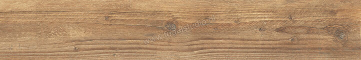  La Fabbrica Ava Ca' Foscari Tabacco 20x120 cm Vloertegel / Wandtegel Mat Vlak Naturale 094013 | 436874