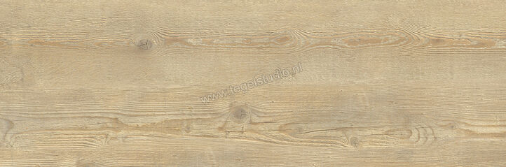  La Fabbrica Ava Ca' Foscari Outdoor Avana 40x120x2 cm Terrastegel Mat Vlak Naturale 094033 | 436955