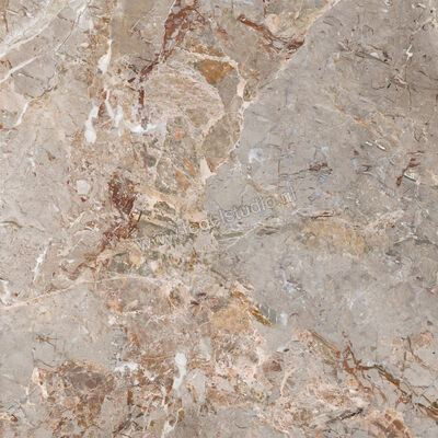  La Fabbrica Ava Breccia Argentum Breccia Argentum 120x120 cm Vloertegel / Wandtegel Glanzend Vlak Lappato 163021 | 442055