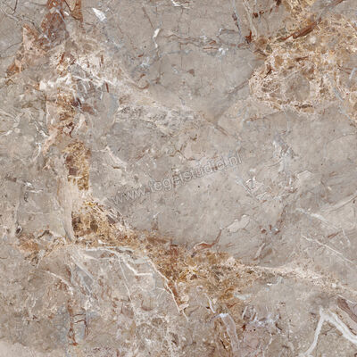  La Fabbrica Ava Breccia Argentum Breccia Argentum 120x120 cm Vloertegel / Wandtegel Glanzend Vlak Lappato 163021 | 442061