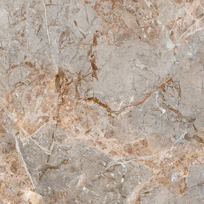  La Fabbrica Ava Breccia Argentum Breccia Argentum 120x120 cm Vloertegel / Wandtegel Glanzend Vlak Lappato 163021 | 442067