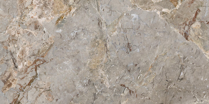  La Fabbrica Ava Breccia Argentum Breccia Argentum 60x120 cm Vloertegel / Wandtegel Breccia Glanzend Vlak Lappato 163101 | 442076