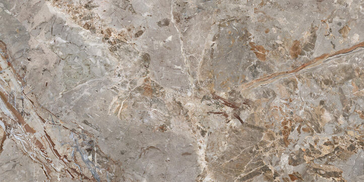  La Fabbrica Ava Breccia Argentum Breccia Argentum 60x120 cm Vloertegel / Wandtegel Breccia Glanzend Vlak Lappato 163101 | 442082