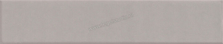  La Fabbrica Ava Up Grey 5x25 cm Decor Glanzend Vlak Glossy 192073 | 443663