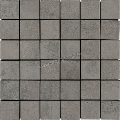  La Fabbrica Ava Hurban Gray 30x30 cm Mozaiek 5x5 Mat Vlak Naturale 177303 | 443810