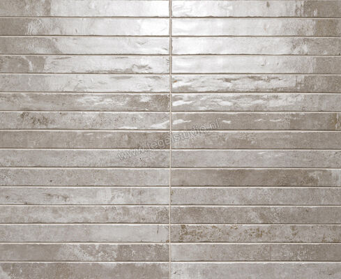  La Fabbrica Ava Kist Lux Light Grey 4.8x45 cm Wandtegel Glanzend Vlak Lux 264052 | 444224