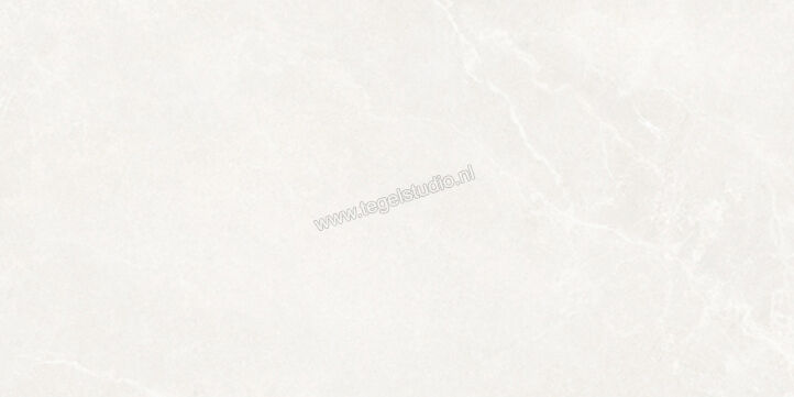  La Fabbrica Ava Noble Stone White 60x120 cm Vloertegel / Wandtegel Mat Vlak Naturale 199001 | 444614