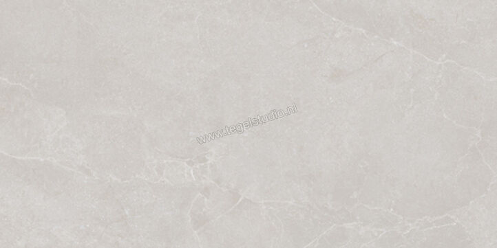  La Fabbrica Ava Noble Stone Grey 60x120 cm Vloertegel / Wandtegel Mat Vlak Naturale 199002 | 444623