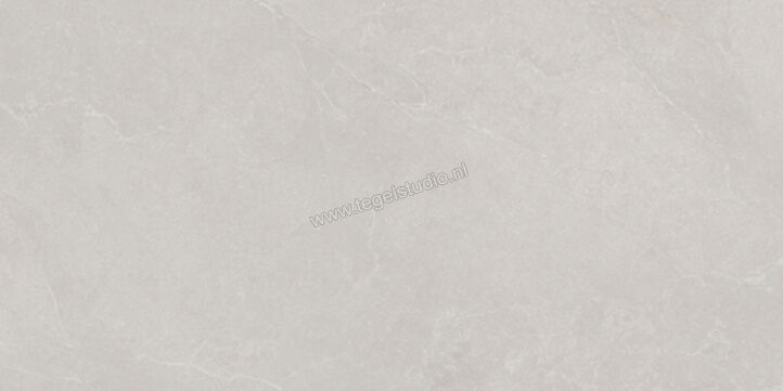  La Fabbrica Ava Noble Stone Grey 60x120 cm Vloertegel / Wandtegel Mat Vlak Naturale 199002 | 444626