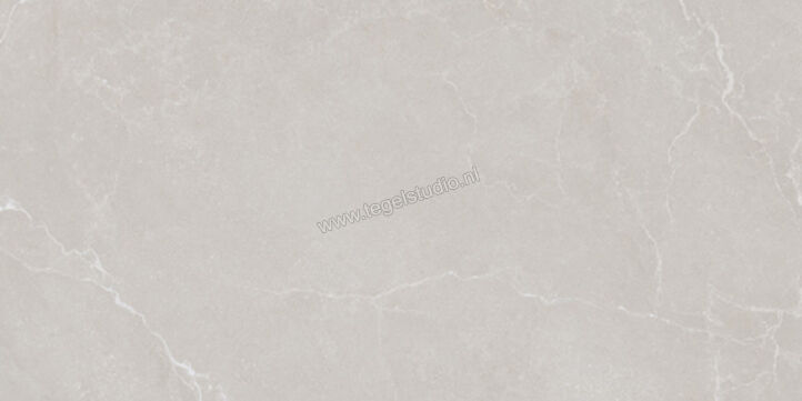  La Fabbrica Ava Noble Stone Grey 60x120 cm Vloertegel / Wandtegel Mat Vlak Naturale 199002 | 444629