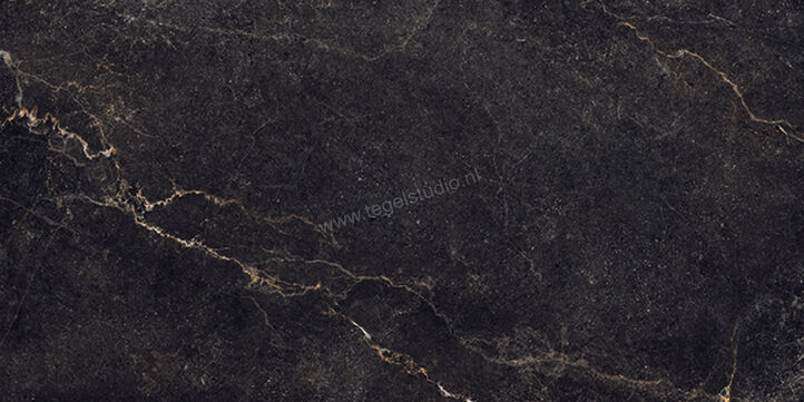  La Fabbrica Ava Noble Stone Dark 60x120 cm Vloertegel / Wandtegel Mat Vlak Naturale 199004 | 444644