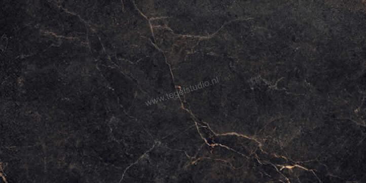  La Fabbrica Ava Noble Stone Dark 60x120 cm Vloertegel / Wandtegel Mat Vlak Naturale 199004 | 444647
