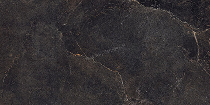 La Fabbrica Ava Noble Stone Dark 60x120 cm Vloertegel / Wandtegel Mat Vlak Naturale 199004 | 444650