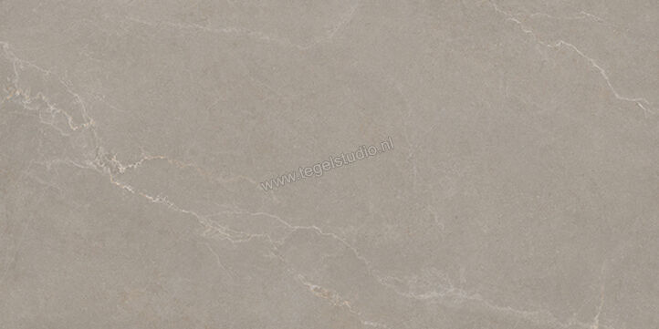  La Fabbrica Ava Noble Stone Taupe 60x120 cm Vloertegel / Wandtegel Mat Vlak Naturale 199005 | 444656