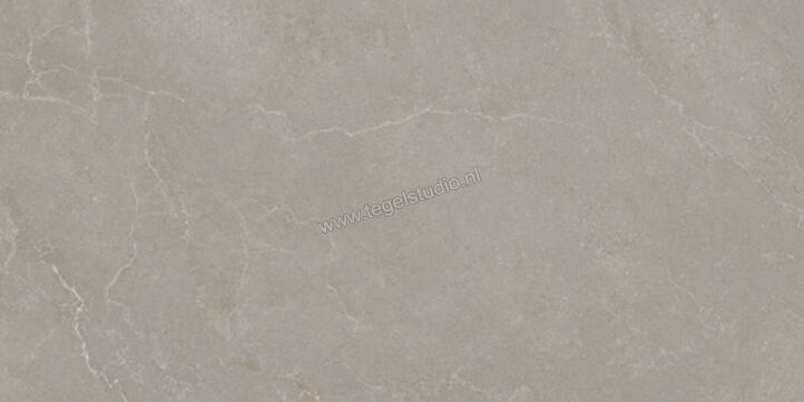  La Fabbrica Ava Noble Stone Taupe 60x120 cm Vloertegel / Wandtegel Mat Vlak Naturale 199005 | 444662