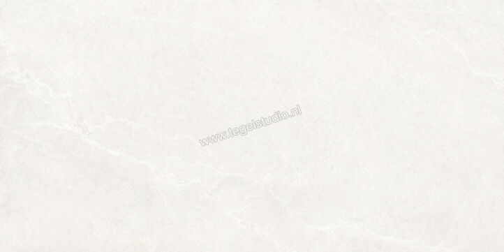  La Fabbrica Ava Noble Stone White 60x120 cm Wandtegel 3D Satin Mat Vlak 3D Satin 199021 | 444707