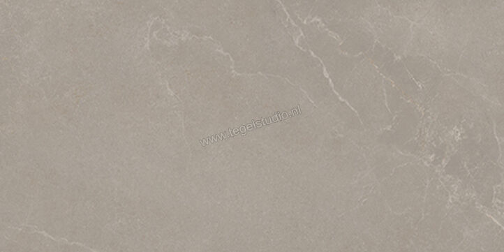  La Fabbrica Ava Noble Stone Taupe 60x120x2 cm Terrastegel Mat Vlak Naturale 199045 | 444803
