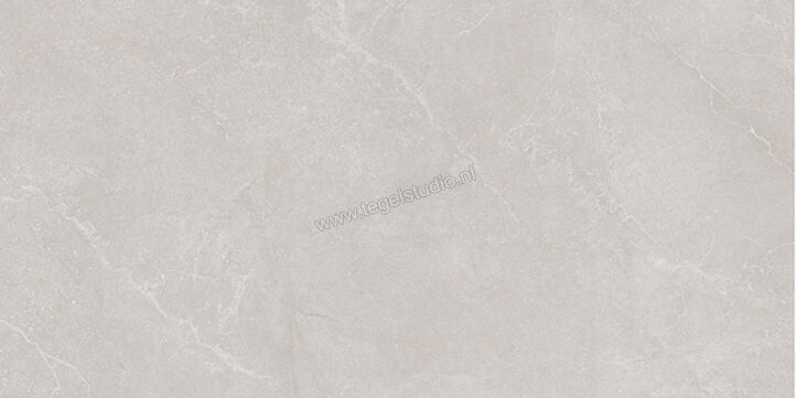  La Fabbrica Ava Noble Stone Grey 30x60 cm Vloertegel / Wandtegel Mat Vlak Naturale 199062 | 444884