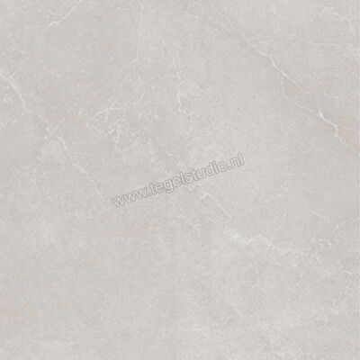  La Fabbrica Ava Noble Stone Grey 100x100 cm Vloertegel / Wandtegel Mat Vlak Naturale 199072 | 444953