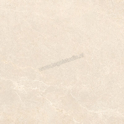  La Fabbrica Ava Noble Stone Beige 100x100 cm Vloertegel / Wandtegel Mat Vlak Naturale 199073 | 444962