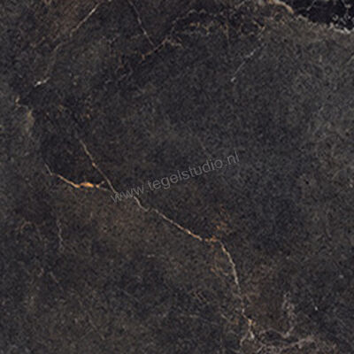  La Fabbrica Ava Noble Stone Dark 100x100 cm Vloertegel / Wandtegel Mat Vlak Naturale 199074 | 444971