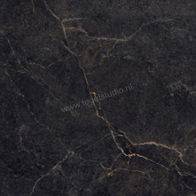  La Fabbrica Ava Noble Stone Dark 100x100 cm Vloertegel / Wandtegel Mat Vlak Naturale 199074 | 444974