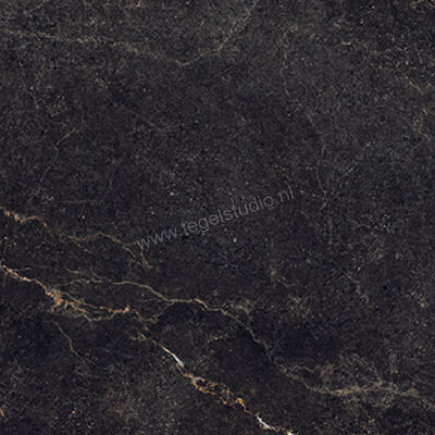  La Fabbrica Ava Noble Stone Dark 100x100 cm Vloertegel / Wandtegel Mat Vlak Naturale 199074 | 444977